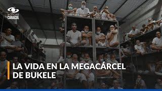 En catres de acero y confinados: así viven reos en megacárcel de Nayib Bukele en El Salvador