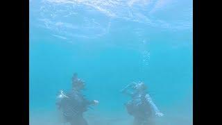 Mask Clearing, An Intro to Diving Skills in Maui