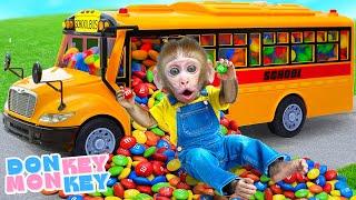  Candy Song Donkey Drives Full of MM Candy School Bus| Donkey Monkey - Nursery Rhymes