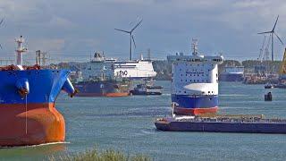 SHIPSPOTTING AT BUSY PORT OF ROTTERDAM NETHERLANDS - 4K SHIPSPOTTING SEPTEMBER 2024