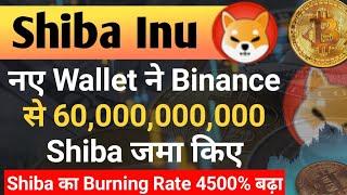 New Wallet ने Binance से 60,000,000,000 Shib जमा किये | Shiba Inu Coin News Today | Price Prediction