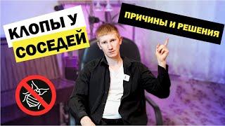 Клопы от соседей – что делать?