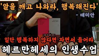 결국 나는 행복할 수 없다고 생각될 때 들으면 진짜 행복해진다. 자면서 다 괜찮아진다. 헤르만헤세의 인생수업, 나와 내 삶의 의미ㅣ데미안ㅣ오디오북ㅣ책읽어주는 남자