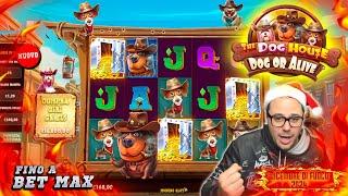 DICEMBRE DI FUOCO 2024 - THE DOG HOUSE : DOG OR ALIVE  fino a BET MAX  | MORENO SLOT ONLINE |