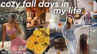 cozy fall days in my life|نهاراتي في فصل الخريف و العيشة بوحدي(back to the gym‍️,dentist..)