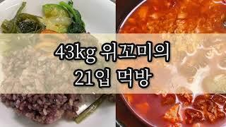 43kg 위꼬미의 21입 먹방 | 어머니표 한식밥상