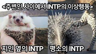 INTP 사용설명서 32.당신이 INTP의 사람이라는 증거