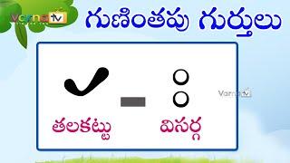 Learn Guninthapu Gurthulu in Telugu | Telugu Guninthalu | Learn Guninthalu Gurthulu | Learn Telugu