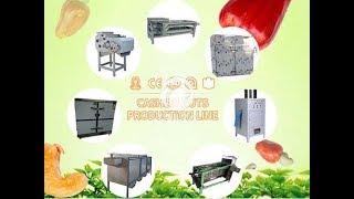 Top 5 machine in China! Full automatic cashew nut peeling machine with a low breakage rate