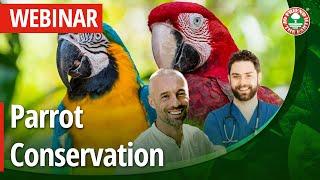 WEBINAR: Parrot conservation status and Friend of the Earth programs.