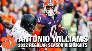 Antonio Williams Regular Season Highlights | Clemson WR