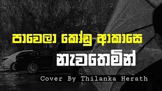 Pawela kodu akase-පාවෙලා කෝඩු ආකාසේ(Cover by-Thilanka Herath)