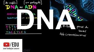 DNA | Macromoléculas | Biologia | Khan Academy