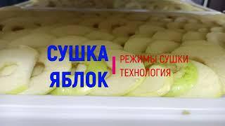 Сушим яблоки: влияние уставки температуры, влажности и скорости воздуха на качество продукта! Разбор