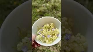 How to forage wildflowers and make tea with them!?