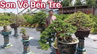 Mãn nhãn với dàn Bonsai tuyệt đẹp vườn Sơn Võ ở Bến Tre giao lưu ngày 02/10/2024