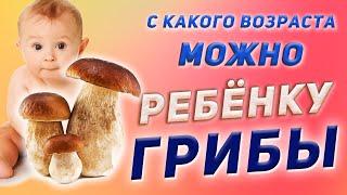 ГРИБЫ | С КАКОГО ВОЗРАСТА МОЖНО ДАВАТЬ РЕБЕНКУ?