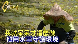 這個人用一輩子救生態！十年收集374種水草、踏查汙染河川 “田中博士” 吳聲昱用水草救地球∣一步一腳印【一輩子的投入水草伯】20230709