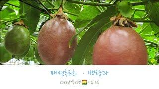 오늘 아침 농장 모습