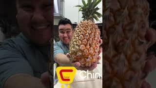 ANANAS KESADIGAN PICHOQ BORLIGINI BILASIZMI ?