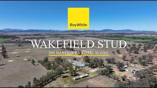 "Wakefield Stud" 209 Nandowra Road, Scone