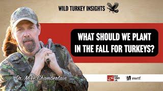 WTI: What should we plant in the fall for turkeys?