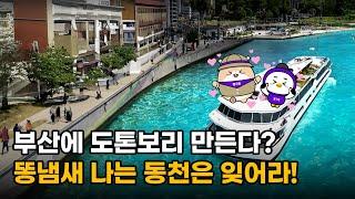 똥냄새 나는 동천 BYE~  부산을 누비는 시티크루즈가 생긴다고?!