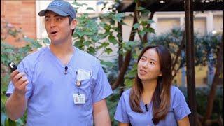 What Makes the UCLA School of Dentistry Special?