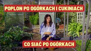 POPLON PO OGÓRKACH I CUKINIACH | CO SIAĆ PO OGÓRKACH | Kasia in