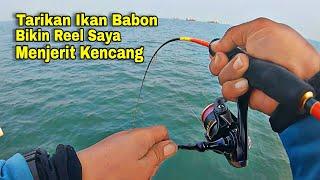 AUTO REMUK...‼️Reel Saya Dibuat Menjerit Kencang Gara-gara Tarikan Ikan Babon-babon Disini