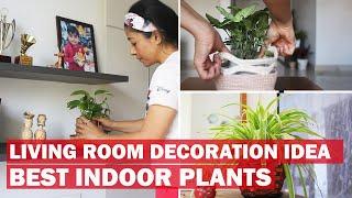 LIVING ROOM DECORATION (HINDI) | DECORATING HOME WITH PLANTS |Best Indoor Plants For Decoration |