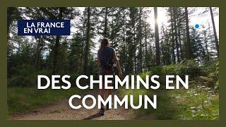 "Des chemins en commun" : les chemins ruraux, un patrimoine à préserver