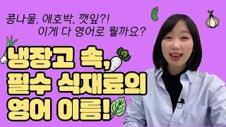 매일 보이는 냉장고속 식재료들이 영어로 궁금하다! 고수영어로? 콩나물 영어로? | 영어단어