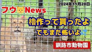 【釧路市動物園】フウ放飼場に櫓が設置‼️怖いけど気になる・・