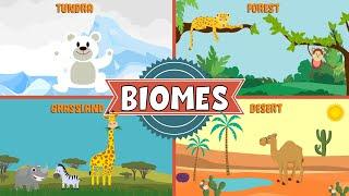 Biomes of the World | Types of Biomes | Video for Kids