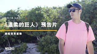 阮經天 Ethan Ruan / 溫柔的巨人預告片 Trailer of The Gentle Giant / 鯨鯊保育宣傳片 / WildAid 野生救援