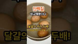 단백질 비교해봤더니 달걀의 무려 2배? 철분까지 풍부해 어지럼증에도 좋은 이 음식!#단백질#건강뉴스#건강식단