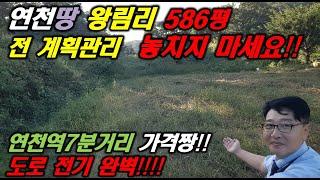 연천땅 왕림리 계획관리 전 586평 급매룰 연천토지 연천역7분거리 연천부동산 운정부동산 파주땅 포천땅