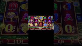 오용이 Q30배 #바둑이사이트 #slot #바카라사이트 #casino #슬롯머신사이트 #jackpot #슬롯사이트 #slotmachine #슬롯잭팟 #bigwin