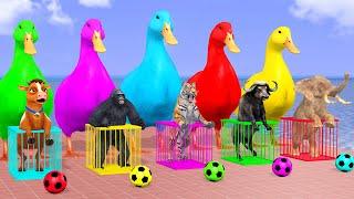 5 Giant Duck & Wild Animals Cage Game Cow Elephant Gorilla Tiger Buffalo Sheep Crossing Fountain