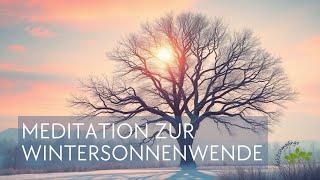 Die Weisheit des Baumskeletts - Meditation zur Wintersonnenwende & Neujahr