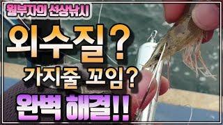 외수질낚시 특집!! - 가지줄이 자꾸 꼬인다구요?? 절대 꼬이지 않게 채비내림!! 농어, 민어를 대상어로 하는 생새우 외수질낚시의 모든것!!