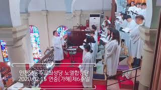 [Veni Jesu Amor mi ] 노엘합창단 2020.02.16 연중[가해]제6주일