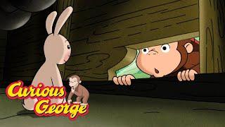 Catch the Escaped Bunnies!  Curious George  Kids Cartoon  Kids Movies