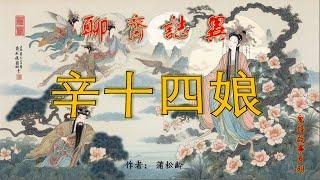 【聊齋誌異】辛十四娘（白話文版）#助眠故事#民間傳說#古典名著故事#志怪異聞#蒲松齡#小說