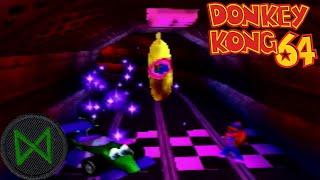 The Shame of Being Beaten by a Monkey - Donkey Kong 64 [14]