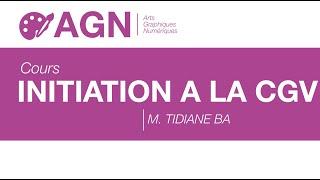 01 INITIATION A LA CGV /M. TIDIANE BA -P8S2