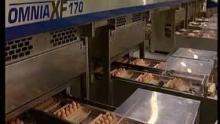 Moba Omnia XF 125 and 170 Egg grading and packing machine