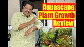 The Competition Aquascape | Nature Aquarium Planting Review | Mayur Dev Aquascaper  4K