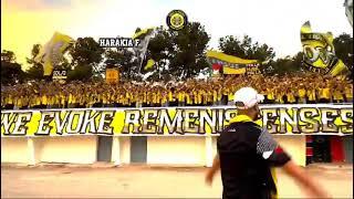 ultras Liberi  fatal tigers 06